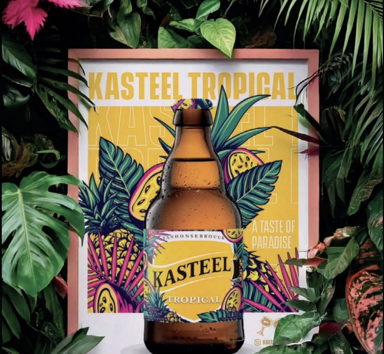 Kasteel tropical pression